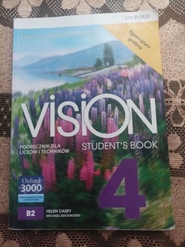 Vision 4        