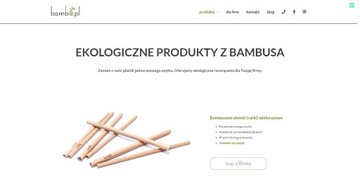 Sklep i domena internetowa bambu.pl