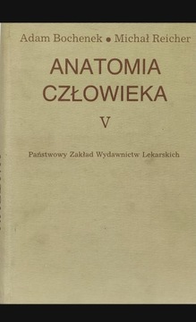 Anatomia człowieka Tom V Układ nerwowy A. Bochenek