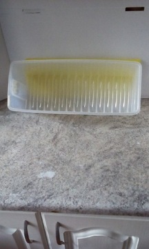 Tupperware Tęczowa Szklarnia 4,6,l