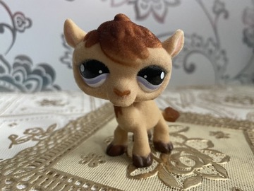 nowy welurowy wielbłąd littlest pet shop LPS #997