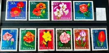 zbiorek kwiaty Polska
