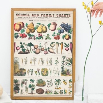 Plakat obraz do kuchni vintage Warzywa i Owoce