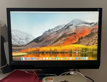 Monitor Eizo, matowa matryca