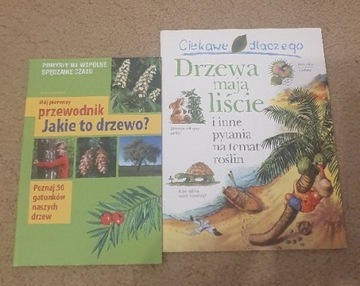 Ciekawostki o roślinach i przewodnik jakie to drze