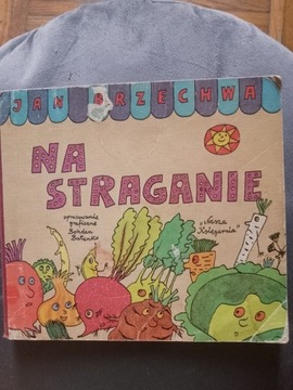 Na straganie. Jan Brzechwa 