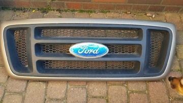 Ford F150 atrapa-grill
