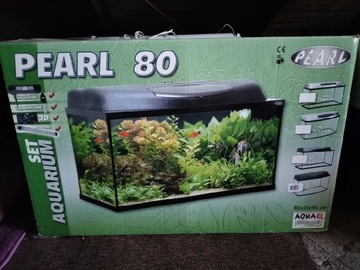 Akwarium PEARL 80 l