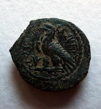 EGIPT Ptolemeusz I lub II moneta rzadka