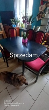 Sprzedam piękny stół 