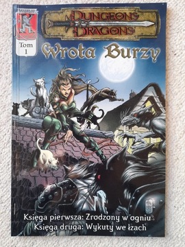 Dungeons & Dragons Wrota Burzy T1