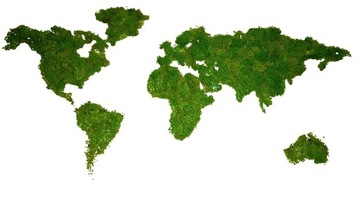 Mapa świata drewniana z mchem chrobotkiem