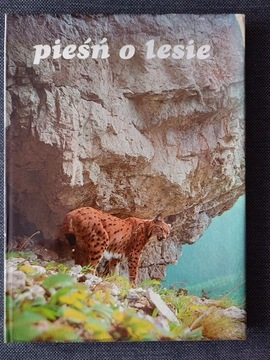 PIEŚŃ O LESIE, 1981
