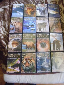 dziki świat zwierząt / 16 DVD -narr.D.Attenborough