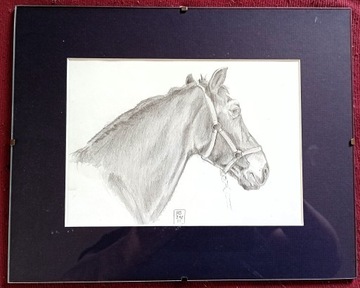 Koń śląski Rubin portret antyrama