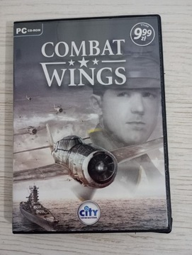 Combat Wings gra na PC 