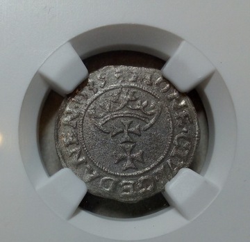 Zygmunt I Stary, szeląg 1539, Gdańsk NGC UNC DET.