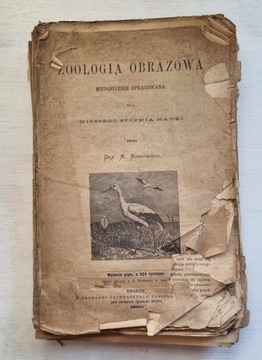 Zoologia obrazowa Nowicki 1880