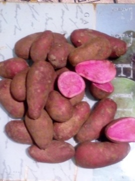 ziemniaki jadalne czerwone ROTE EMMA 1kg
