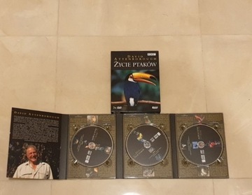 Filmy dvd Życie Ptaków 