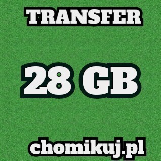 Transfer 28 GB na chomikuj Bezterminowo