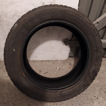 Opona zimowa Sportiva 185/55 R15 82T