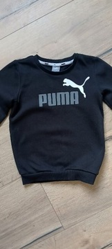 Nowa bez metki bluza Puma,116 cm.,6 lat