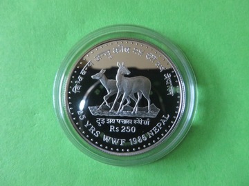 NEPAL WWF 1986 250 rupees srebro 925 piżmowce