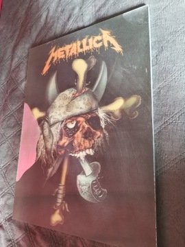 Obraz Metallica 3D 