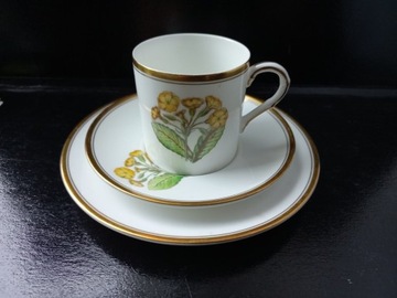 Trio filiżanka Royal Worcester Bone China 