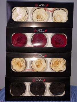 Róże Wieczne do Flower Box-3szt (Świeżość 730 dni)