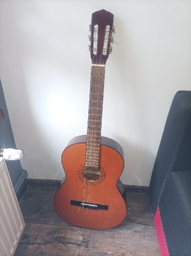 Gitara akustyczna Morris 