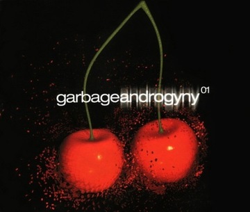 Garbage – Androgyny, singiel CD