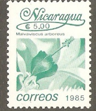 Kwiat malwy Mi-2666 - Nikaragua.