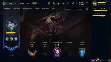 konto League of Legends 220vl 89 skinów EUNE