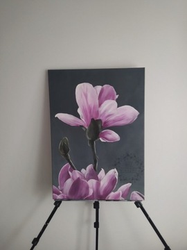 Obrazy na płótnie 50x70 kwiat magnolia magnolie kw