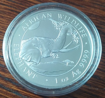 100 Shillings African Wildlife Słoń- srebro 2023 r