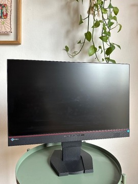 Monitor Eizo Foris FS2434, 24"