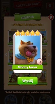 Modny terier KARTA COIN MASTER 