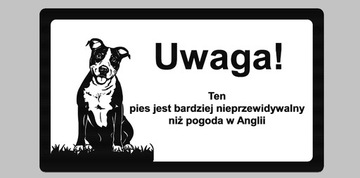 Tabliczka ostrzegawcza uwaga zły pies amstaff