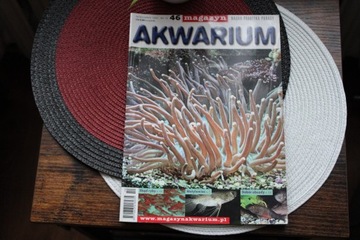 Akwarium-Magazyn_Nr.10-pazdziernik_2005-jak nowe