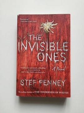 The Invisible ones by Stef Penney