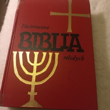 Biblia młodych ilustrowana.uzywana