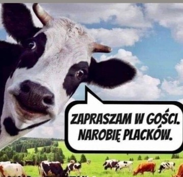 Mleko kozie,jogurt kozi,marchew,por,jajka, Jarmuż 