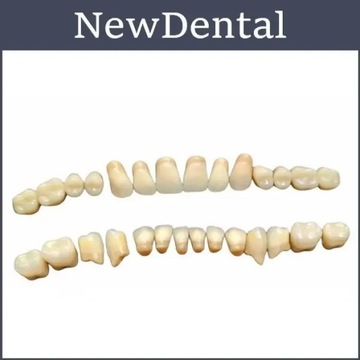 Proteza z żywicy Sztuczne zęby