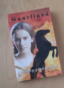 Heartland. Blizny przeszłości. Lauren Brooke