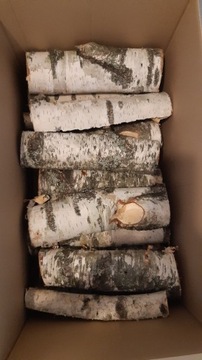 Brzoza 20 kg drewno kominkowe suche ekologiczne