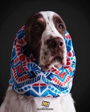 SNOOD bawełniany GREEK Hug me Springer Cocker