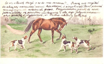 Koń i ogary psy sfora - 1905 Przemyśl -długi adres
