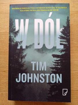 książka "W dół", autor: Tim Johnston